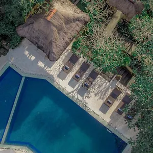 Artini 2 *** Ubud
