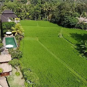 Byasa Guest house