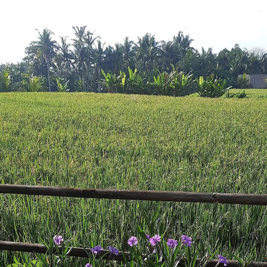 Pb Pondok Gandalangu Garden House Bali Ubud Hotel